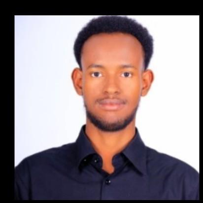 Abdinour Ahmed Abdulahi